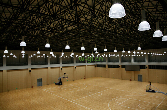 39.吉林新建.LED篮球馆 (1)